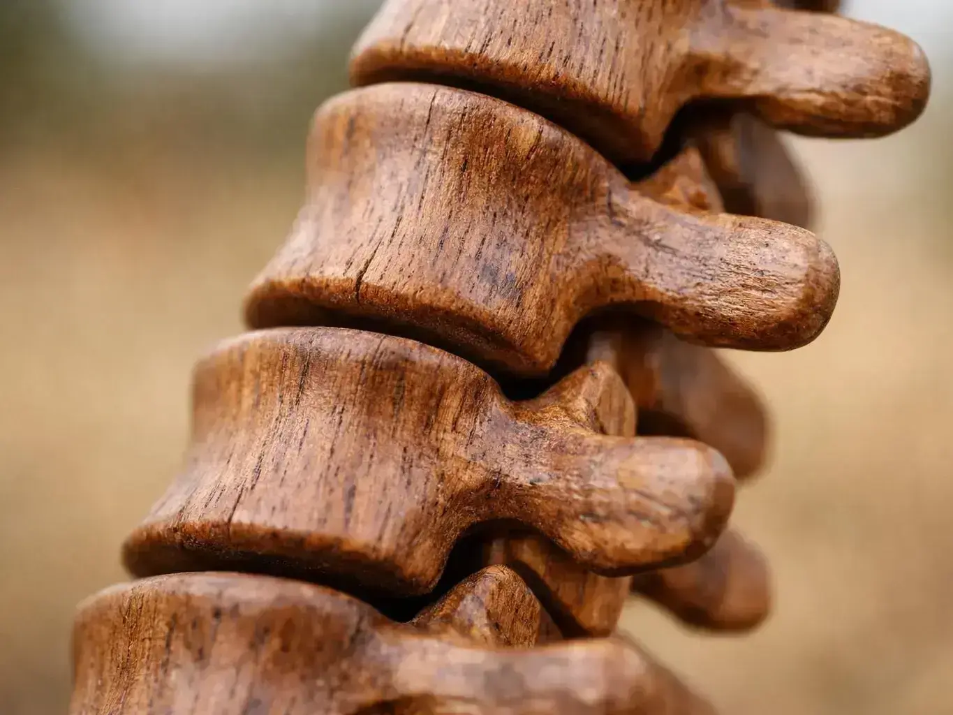 Chiropractor Georgetown, GA — results